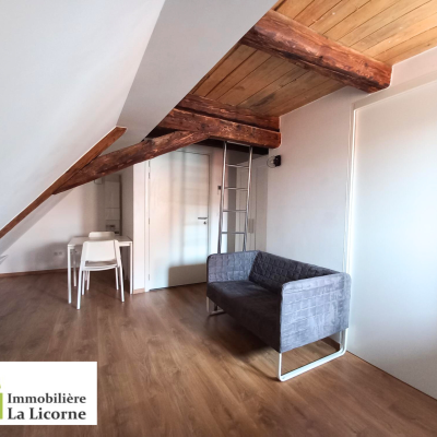 Studio meublé au centre ville de SAVERNE de 12m2 habitable